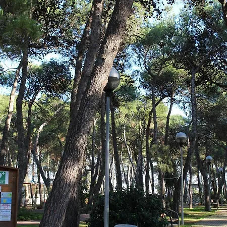 Bed & Breakfast La Pigna Ruvo di Puglia
